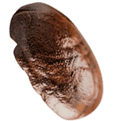 shape image