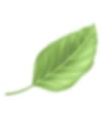 shape image